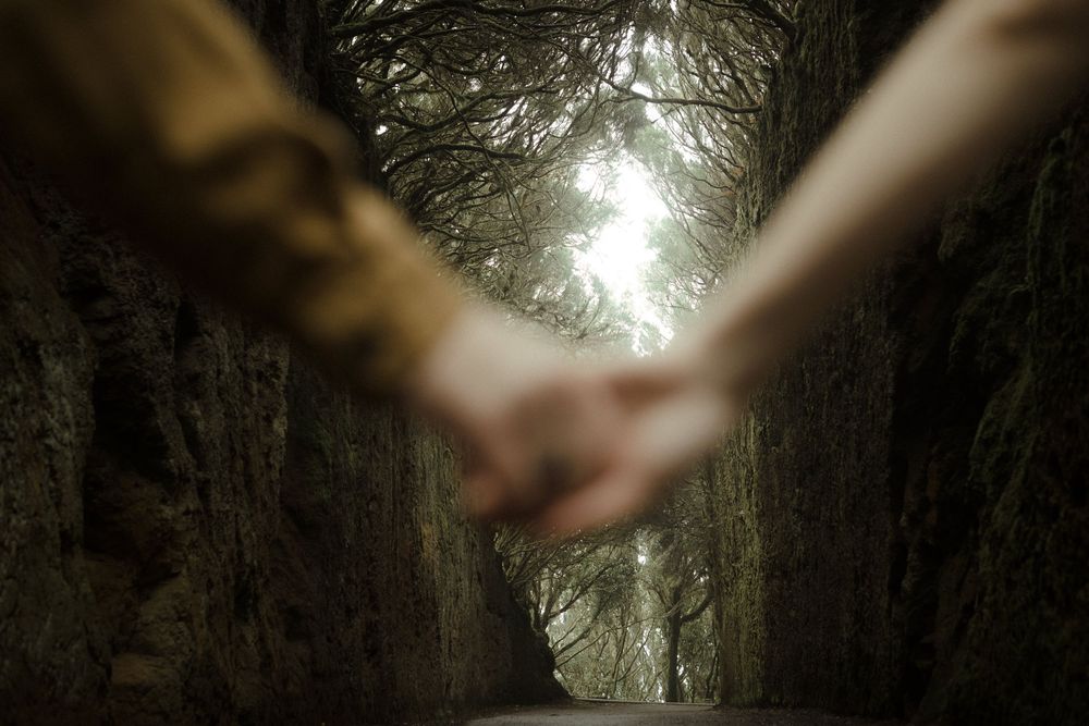 A hand reaches out to touch tall trees in a misty forest creating an atmospheric nature scene.