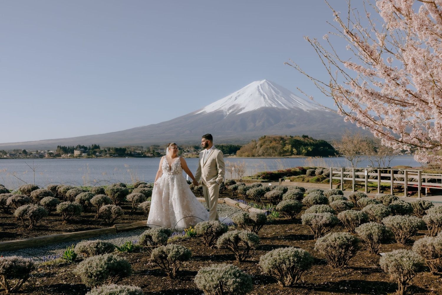 A panoramic series of wedding photos showcasing Mount Fuji in Japan with cherry blossoms and traditional tea fields.