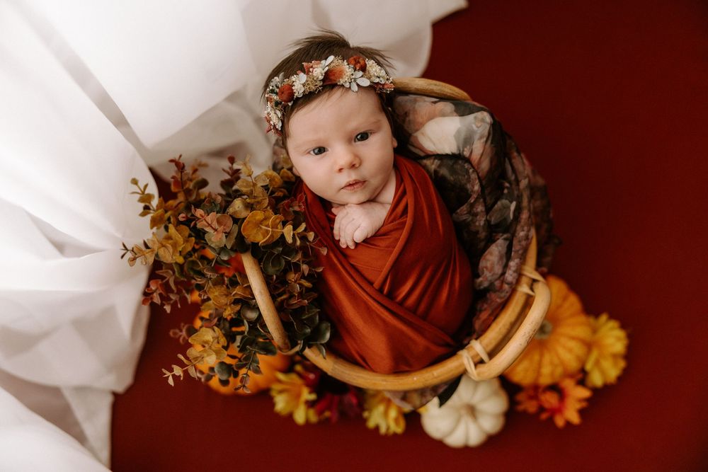 Baby in rust-colored wrap nestled in autumn basket with orange flowers and white pumpkins on burgundy backdrop.