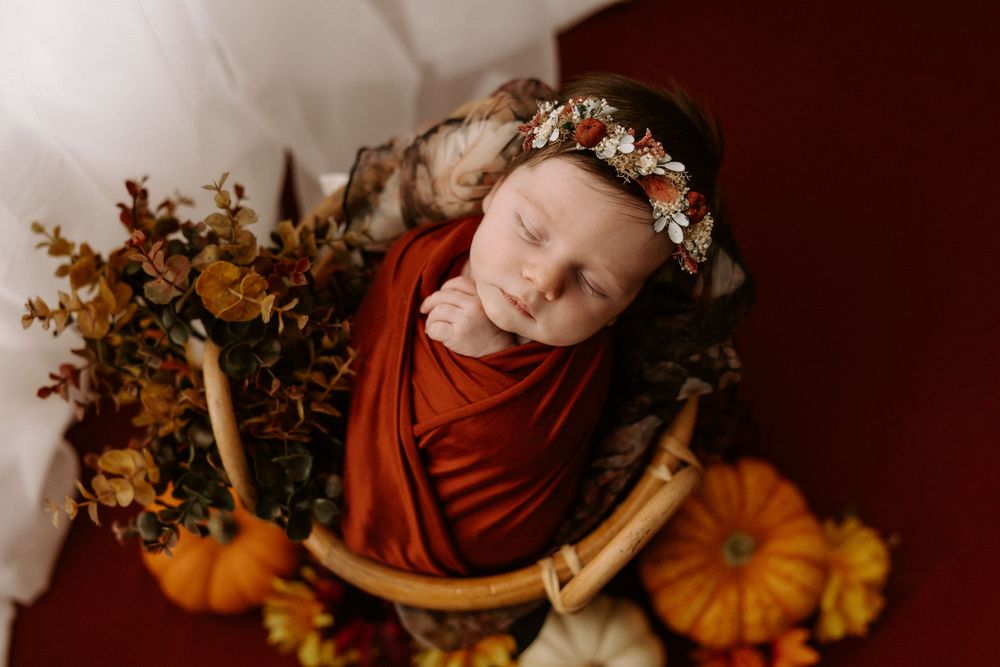 Newborn wrapped in rust-colored fabric sleeps in basket surrounded by autumn decor with pumpkins and dried flowers.