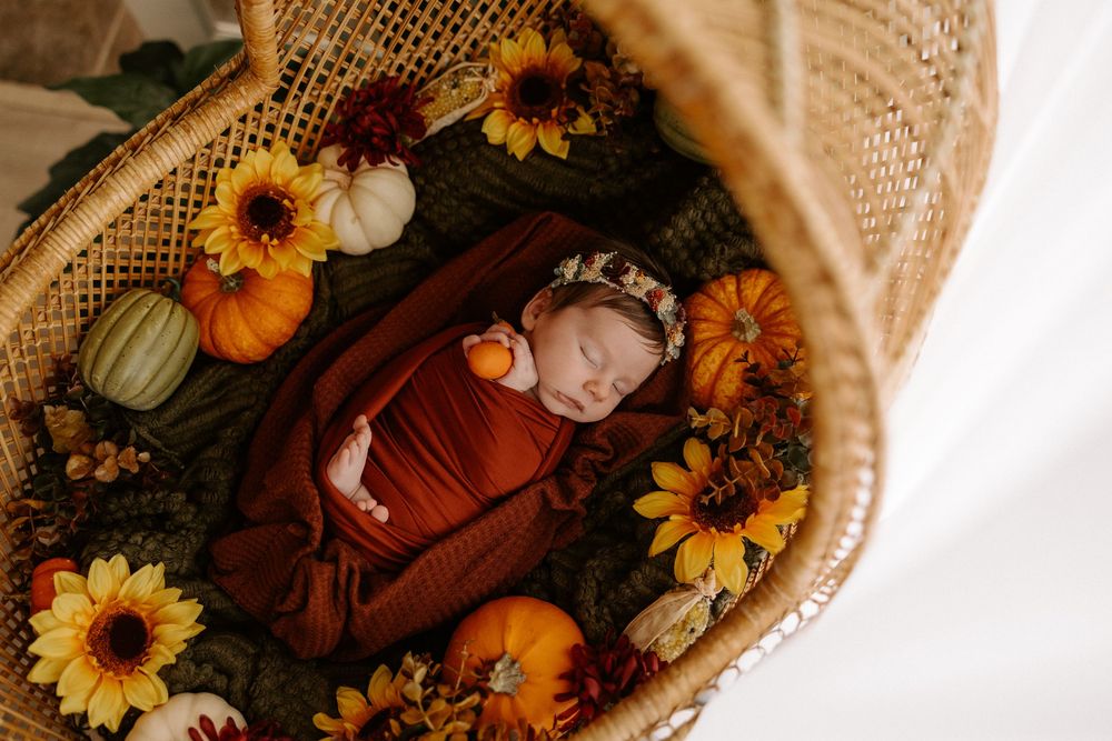 Autumn themed newborn photography setup with pumpkins, sunflowers and rustic basket on white backdrop.