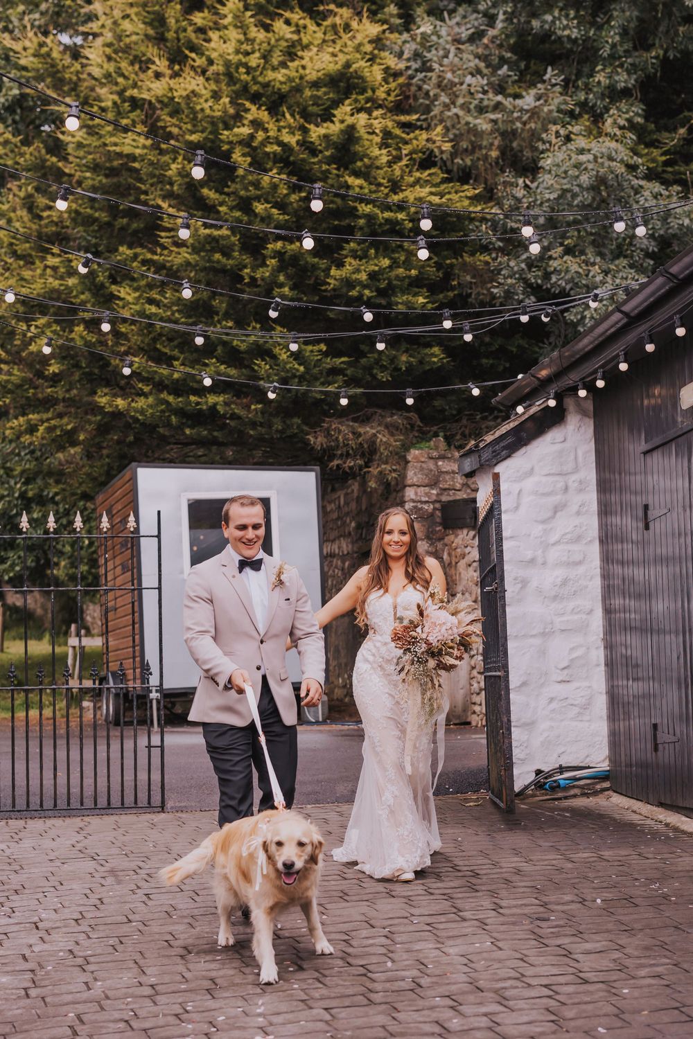 A couple in wedding attire walks their golden retriever under string lights at an outdoor venue.