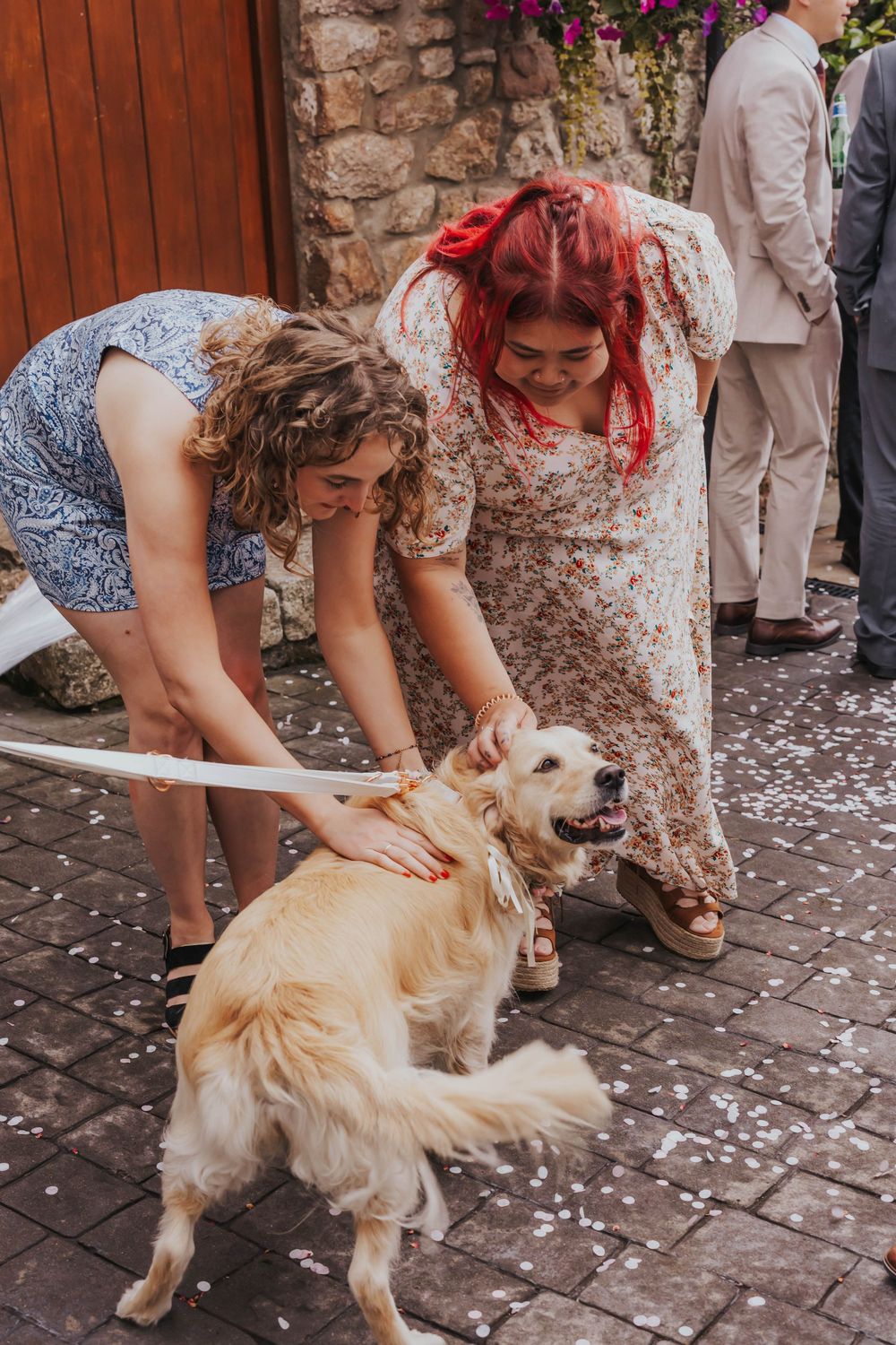 A woman in a dress pets a friendly golden retriever dog on stone pavement covered with flower petals.