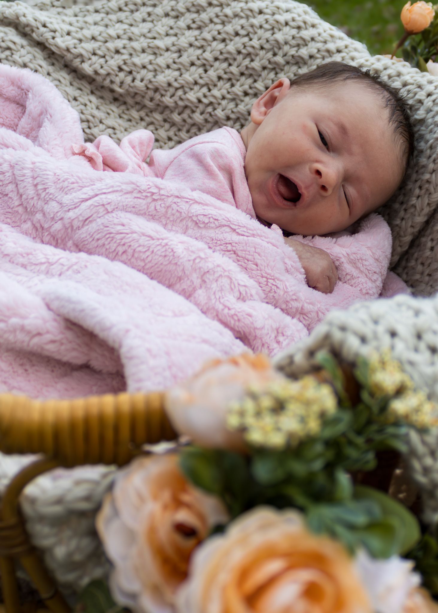 Newborn photo session outdoors flowers basket