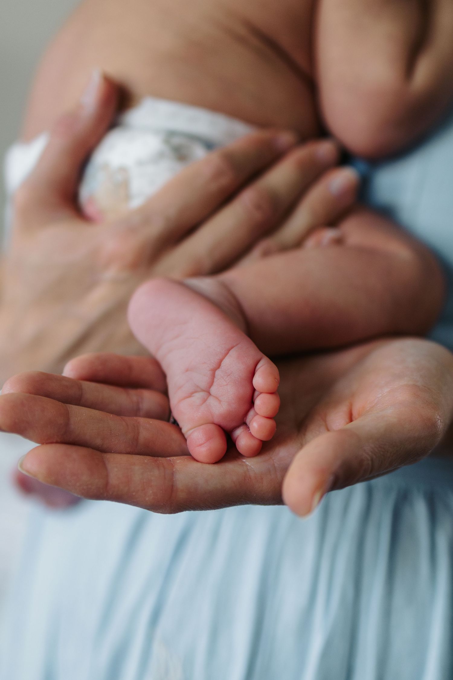 Close-up of a newborn baby's tiny feet resting gently in an adult's cupped hands.