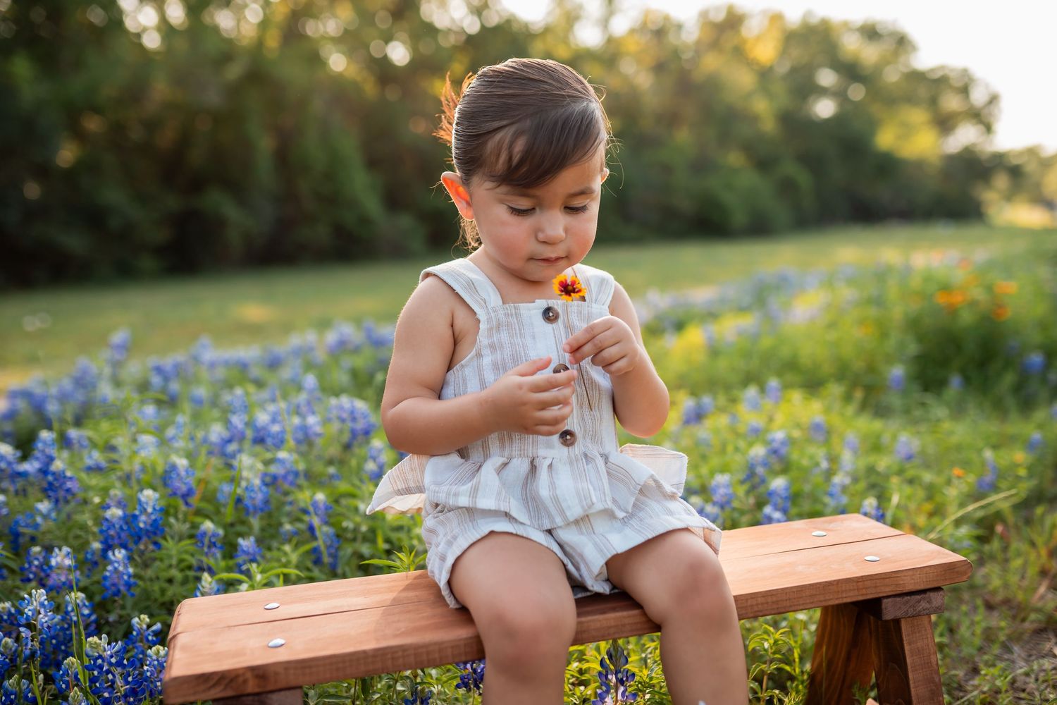 A child sits on a wooden bench surrounded by blooming bluebonnets in a golden-lit Texas field at sunset during a Bluebonnet Mini Session HTX