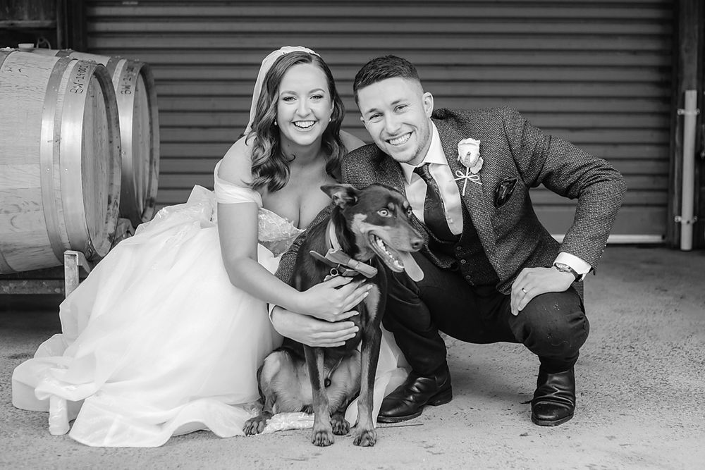 Playful wedding party poses with dog in casual group portrait.