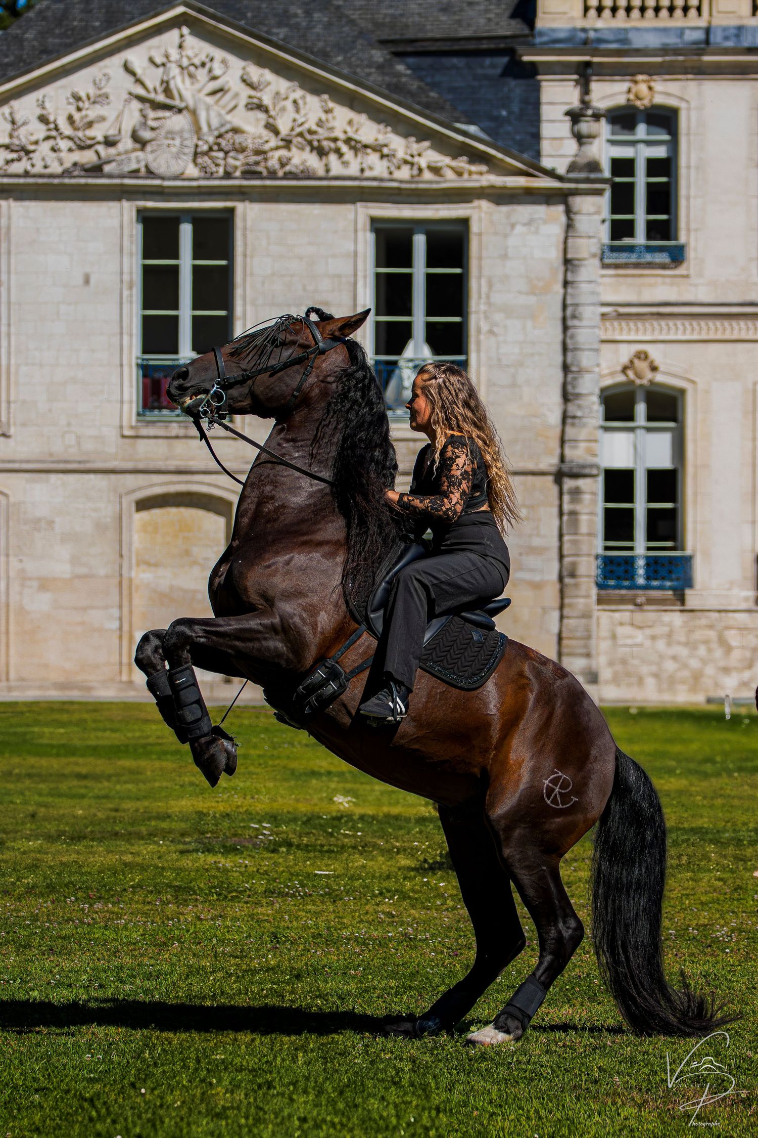 Horse and rider demonstrating advanced dressage moves on grass with classical architecture backdrop.
