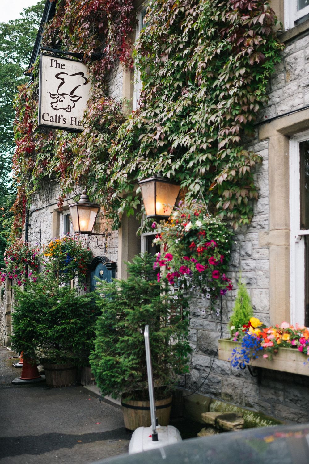 Charming stone building covered in ivy with lanterns and colorful flower boxes at The Cat's Inn.