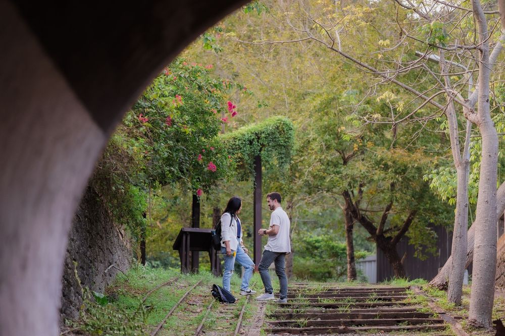 People walking along a scenic tree-lined pathway in a park during autumn season.