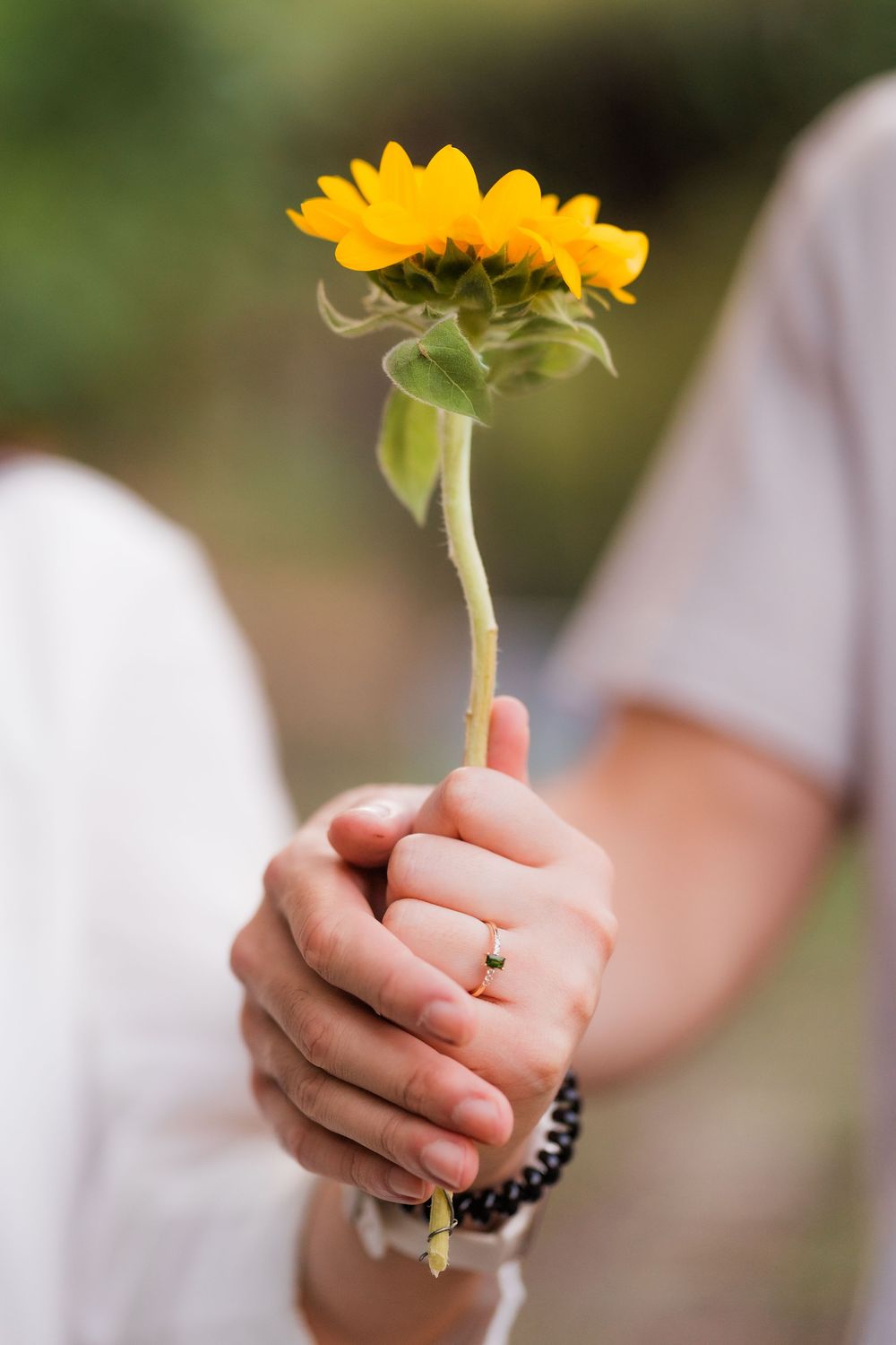 Close-up shot of hands holding a bright yellow sunflower against a blurred natural background.