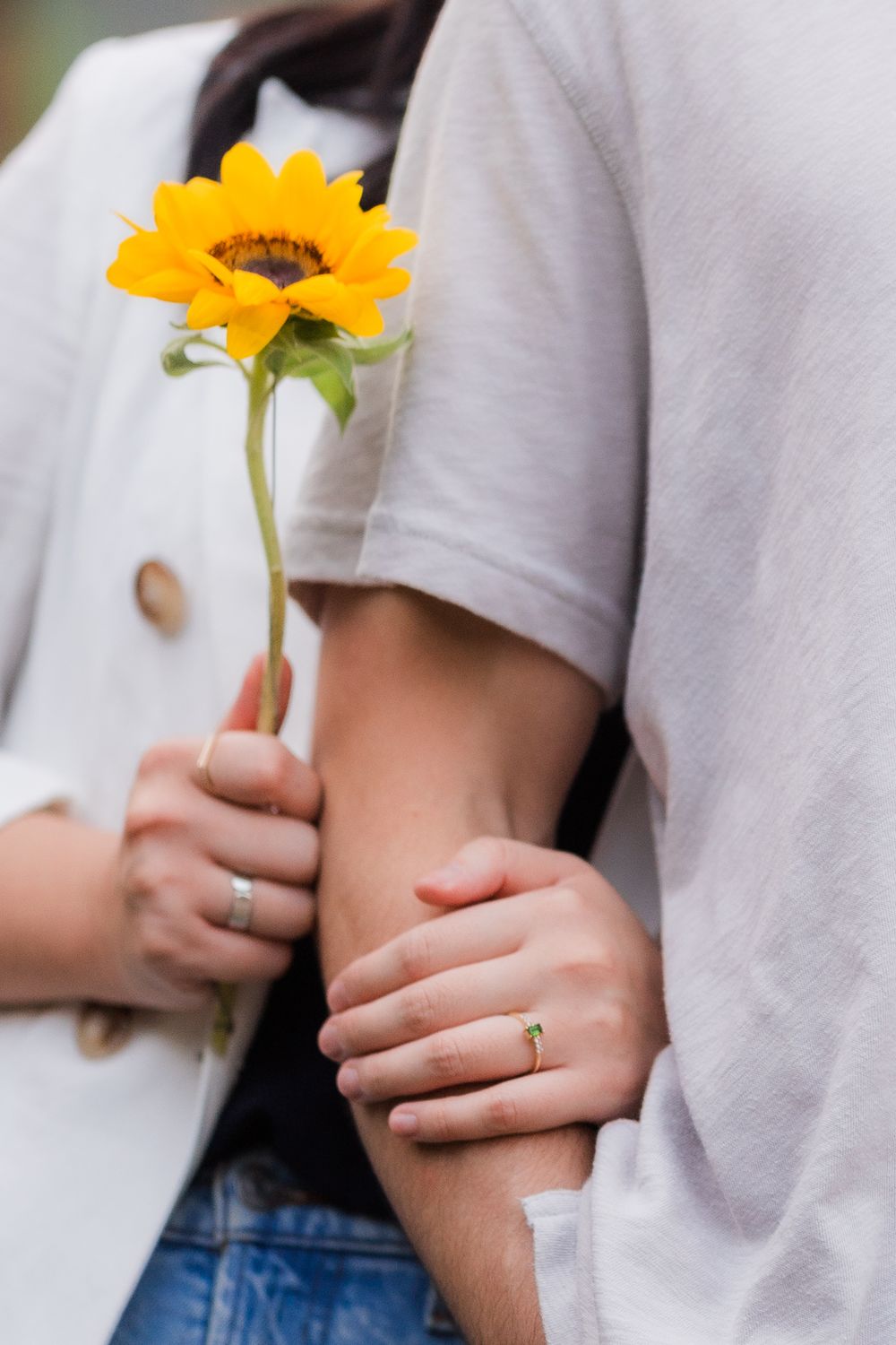 Close-up view of hands holding a bright yellow sunflower against a white shirt and blue jeans background.