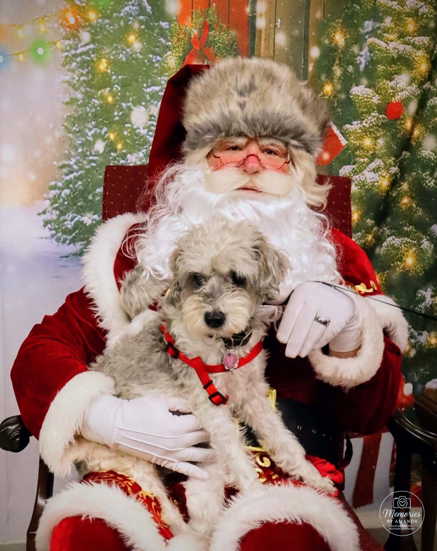 Santa Pet Pics Fayetteville, TN