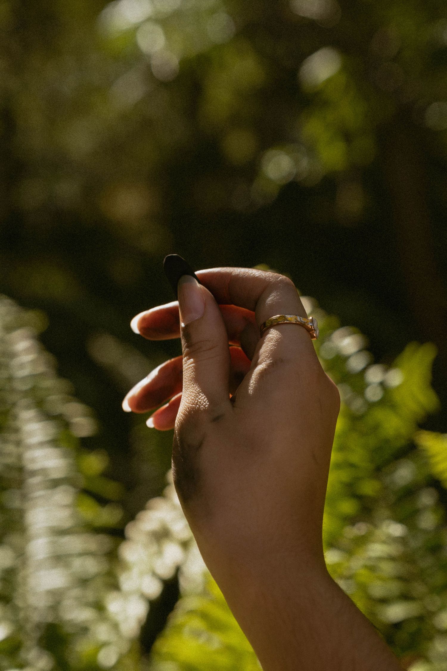 Sunlit close-up of a hand with rings against blurred natural background.
