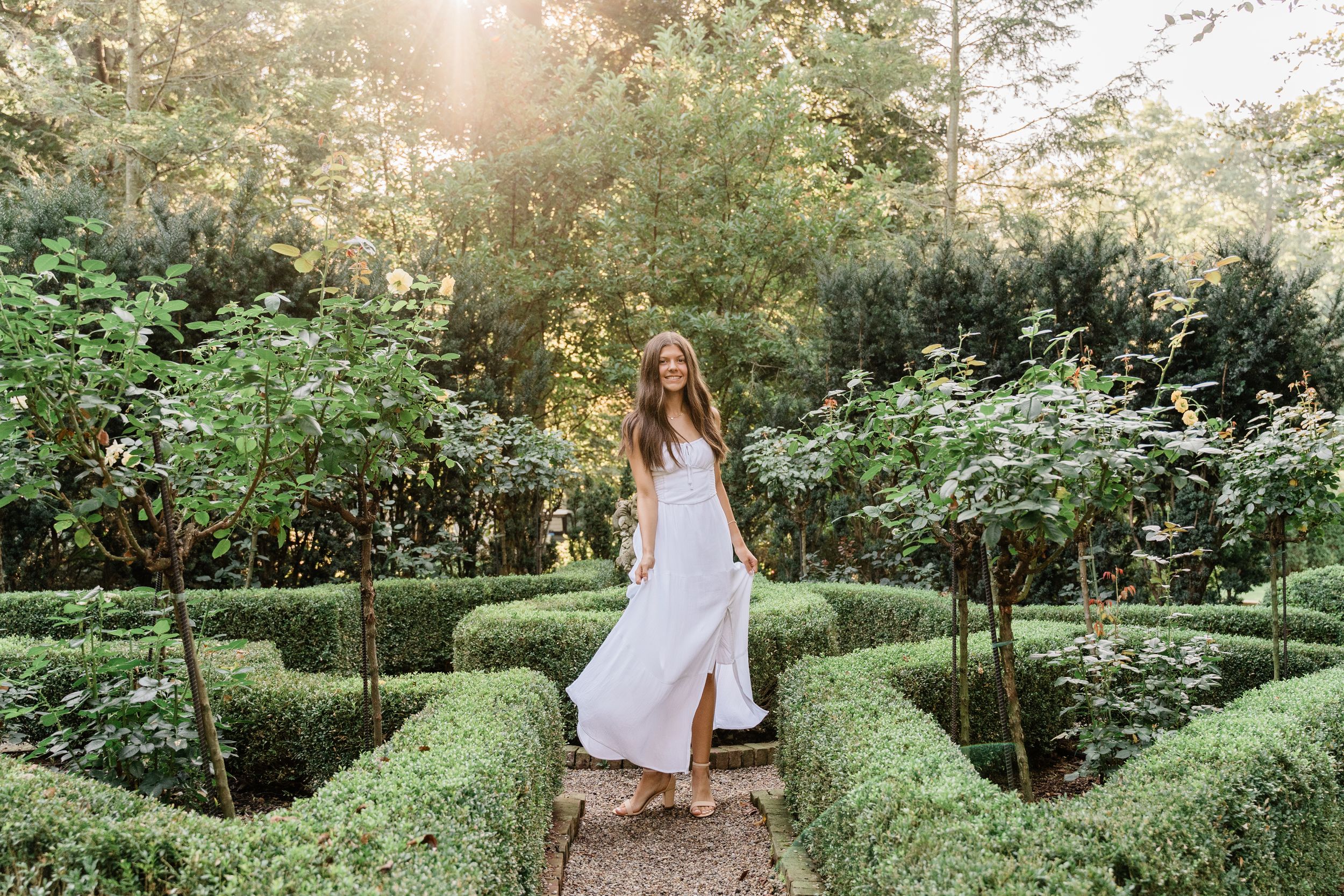 Sunlit garden path surrounded by manicured hedges and flowering plants in a peaceful setting.