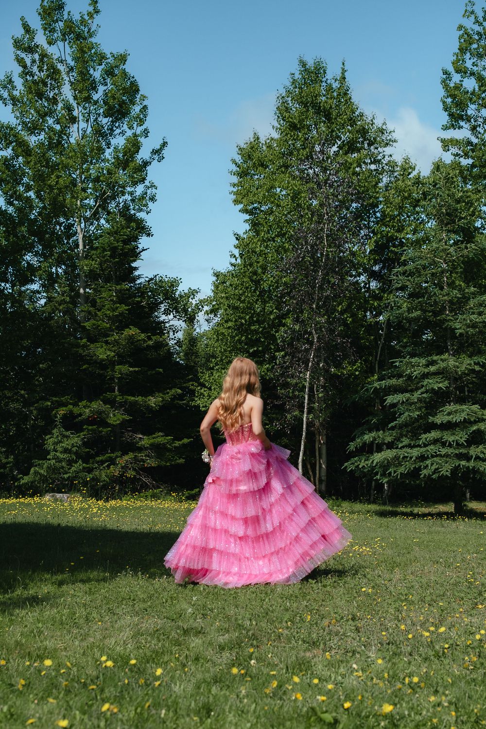 A person in a voluminous pink ruffled gown twirls gracefully in a sunny meadow filled with wildflowers and trees.
