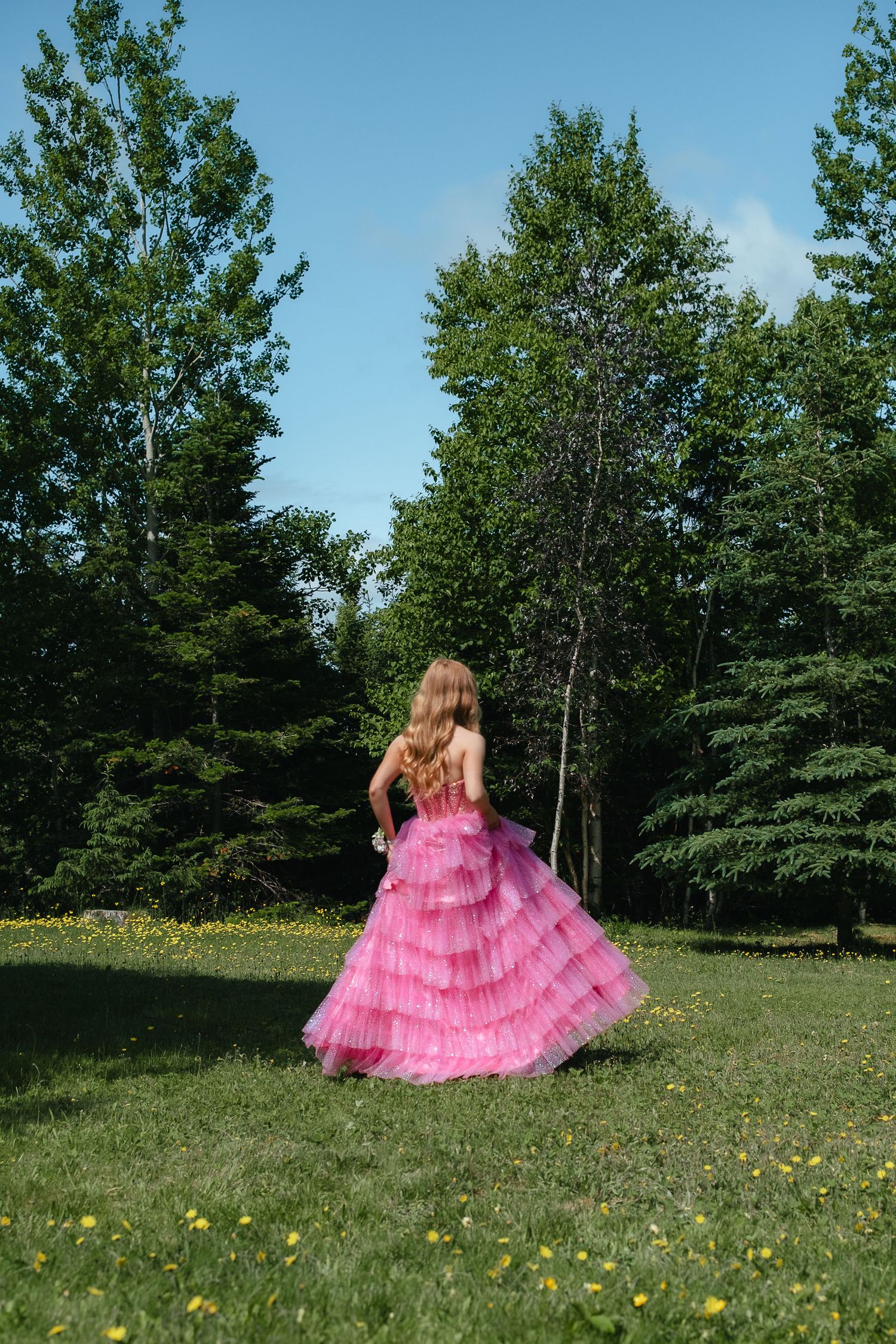 A person in a voluminous pink ruffled gown twirls gracefully in a sunny meadow filled with wildflowers and trees.