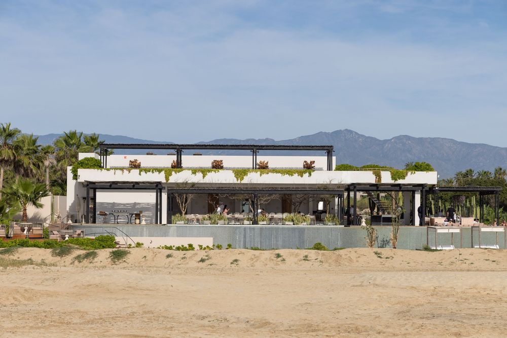 Modern beachfront restaurant with open-air design, green roof plants, and mountain backdrop.