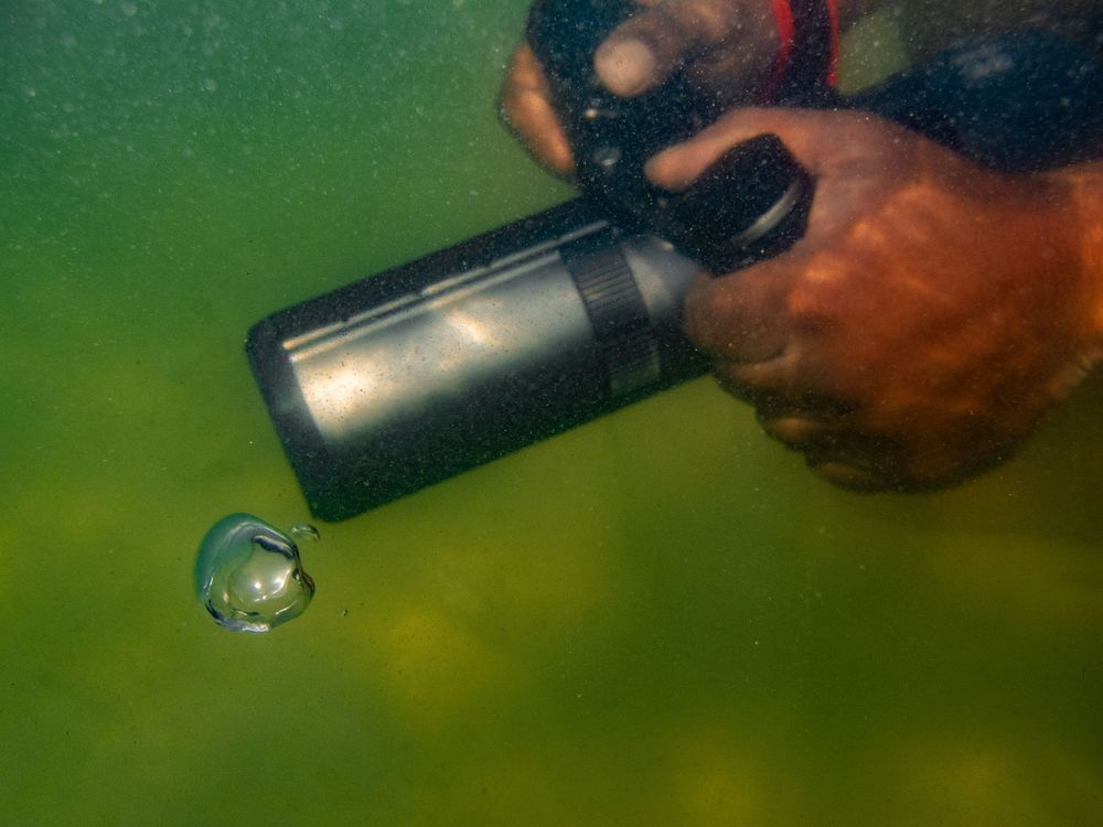 underwater scooter rental demo photos