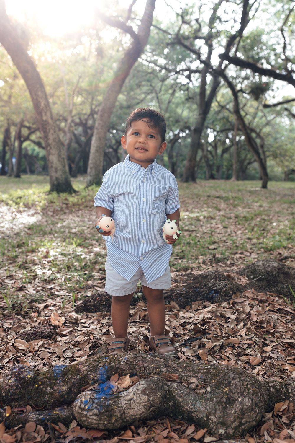 Toddler boy in blue shirt and shorts holding white toys while standing on tree roots in a sunlit forest.