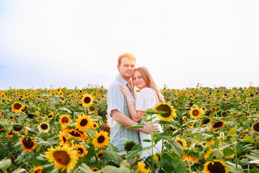 Couple embracing in a vibrant sunflower field at sunset, surrounded by blooming yellow sunflowers.