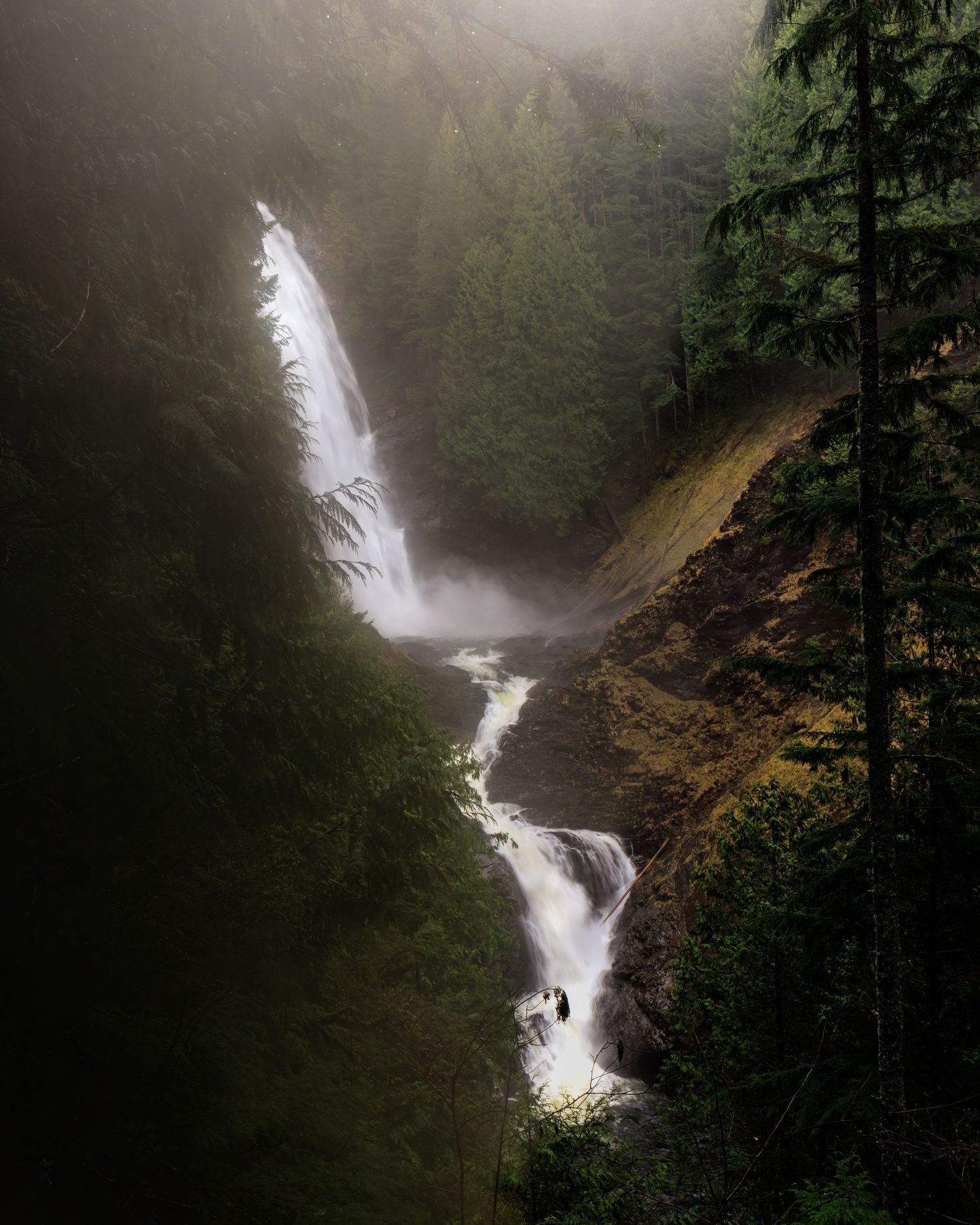 Fog descends over a waterfall in the North Cascades in Washington