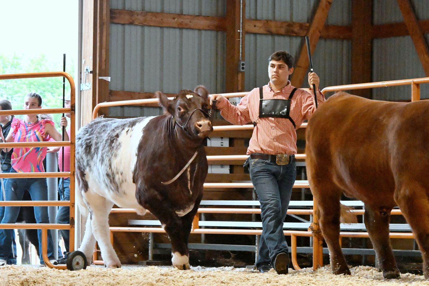 Waushara County Fair 2025
