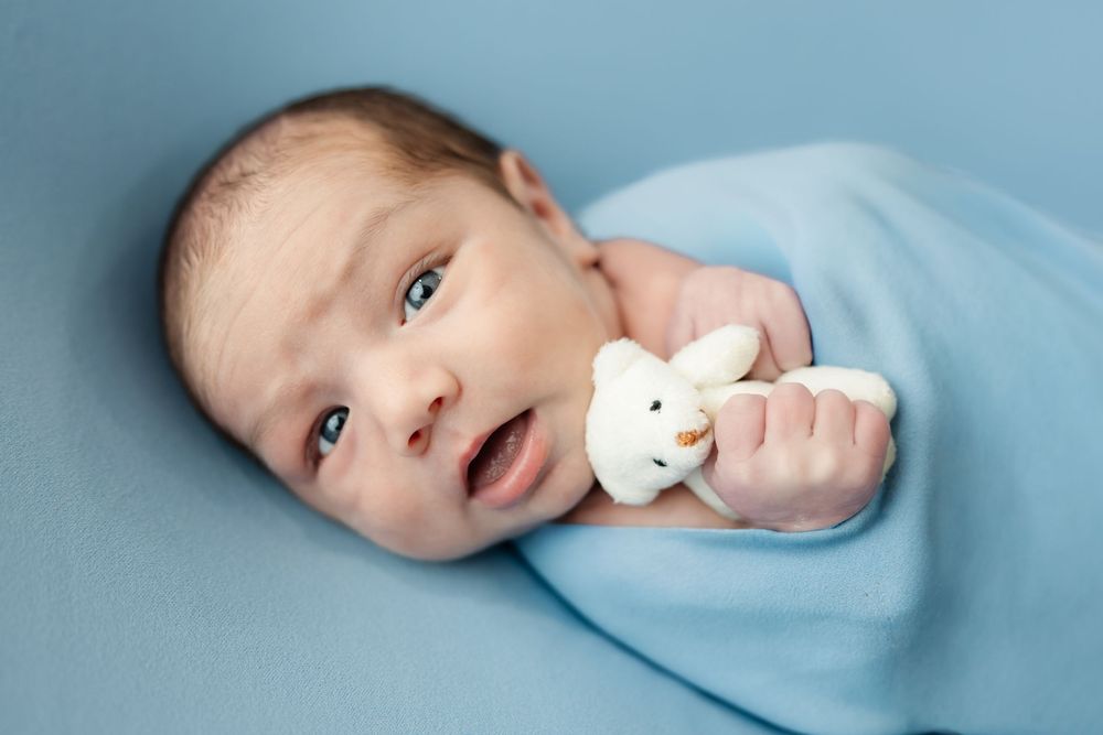 Alert newborn baby in blue swaddle holding a small white teddy bear toy.