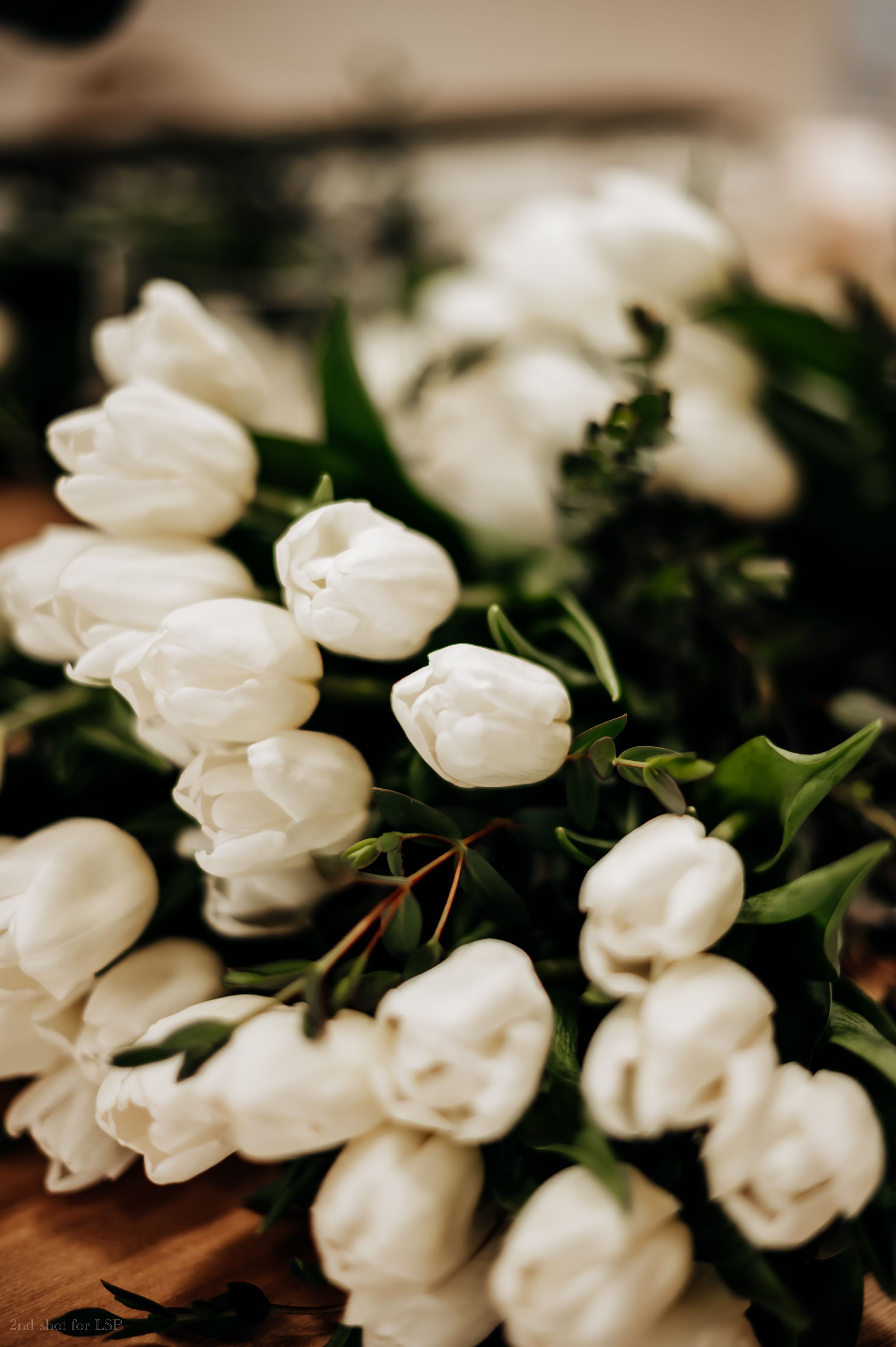 Fresh white tulips with green leaves arranged in a bridal bouquet for a wedding.