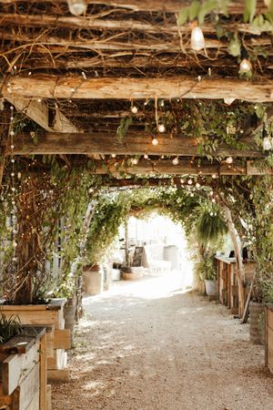 Rustic pergola walkway adorned with hanging Edison bulbs, lush greenery, and arched vines creating an enchanting garden passage.