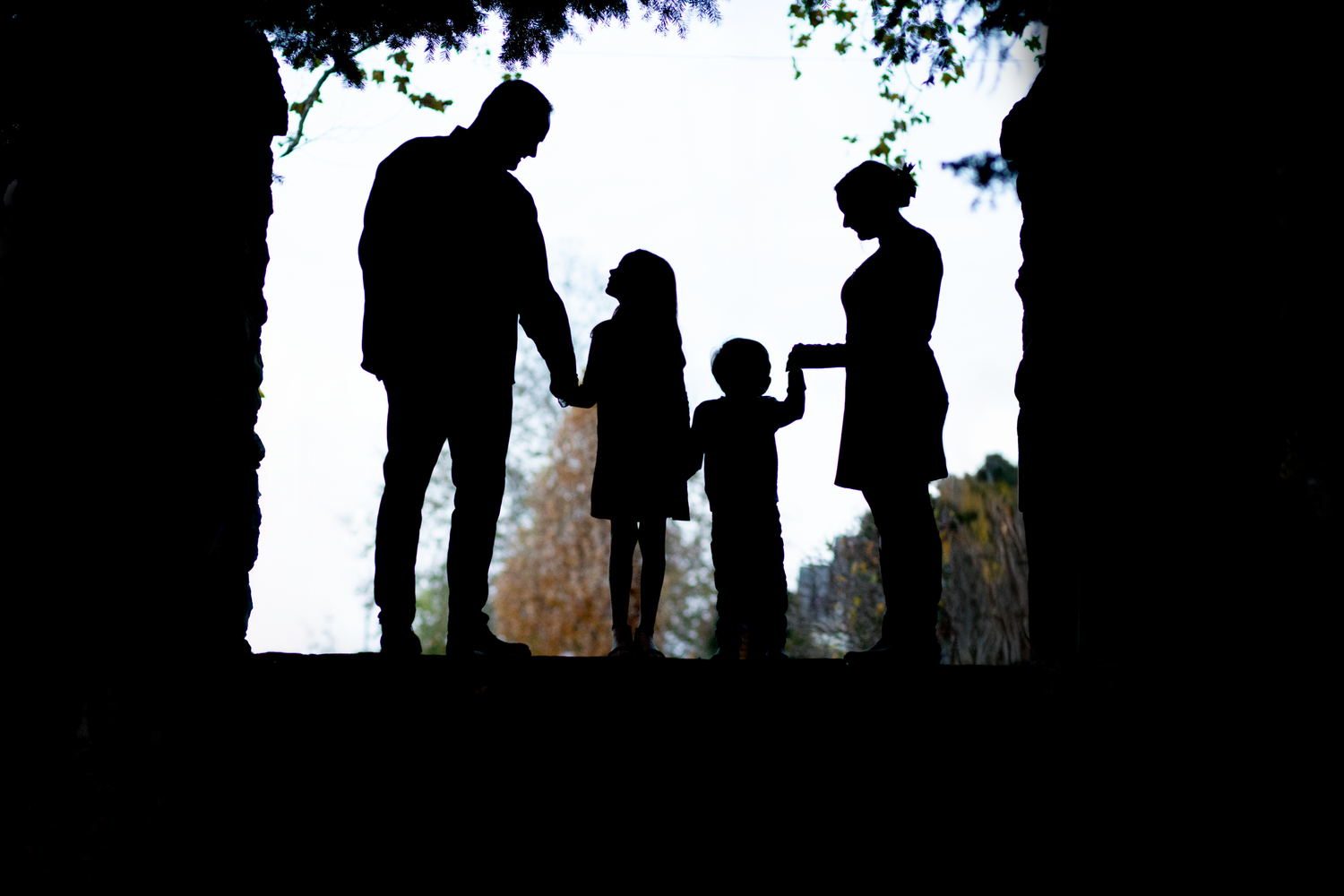 Silhouette of a family of four holding hands framed by dark trees with bright background.