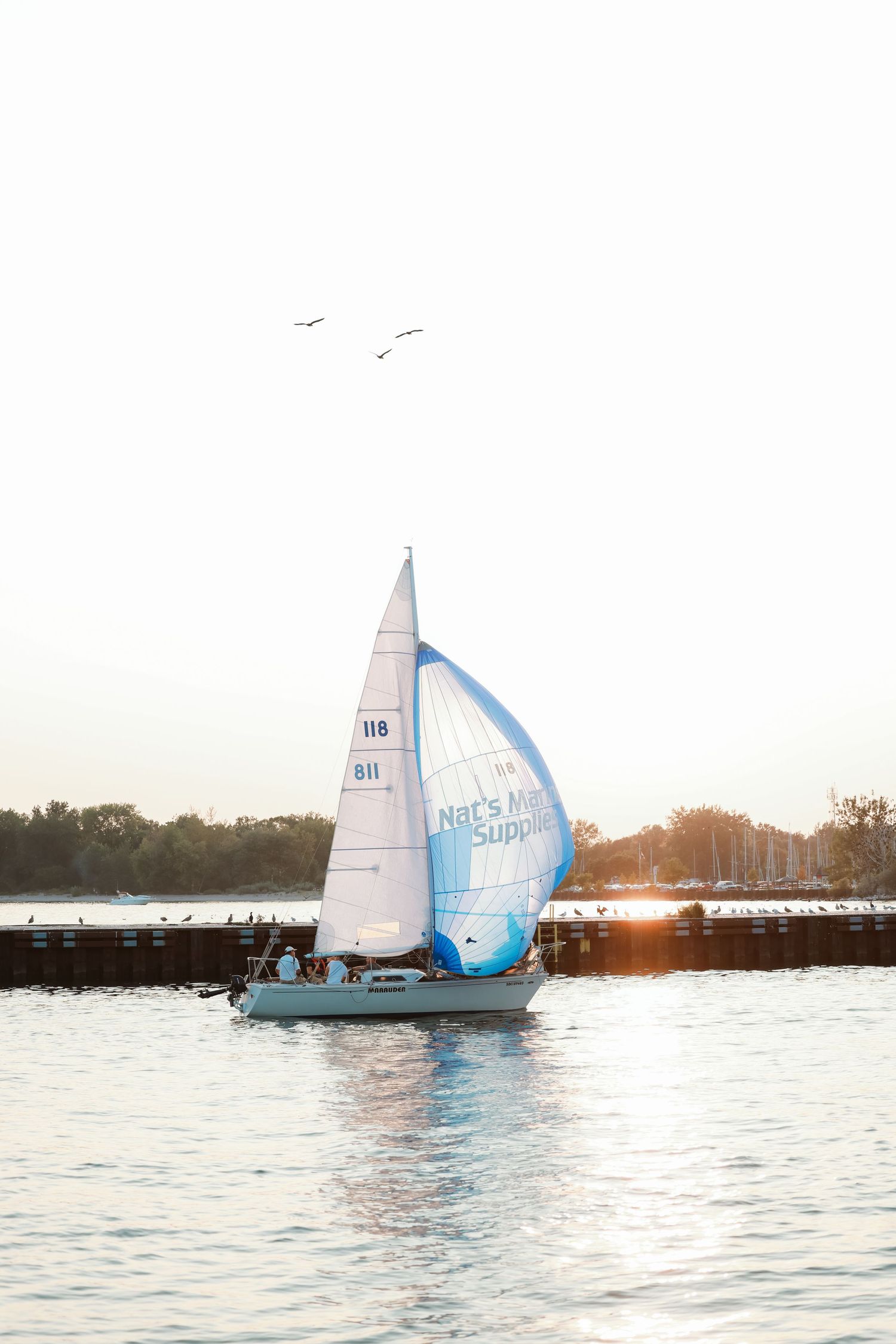 A sailboat with blue and white sails glides across calm waters at sunset.