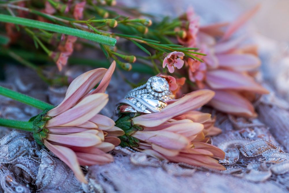 Elegant diamond halo engagement ring and wedding bands resting among pink daisy flowers.