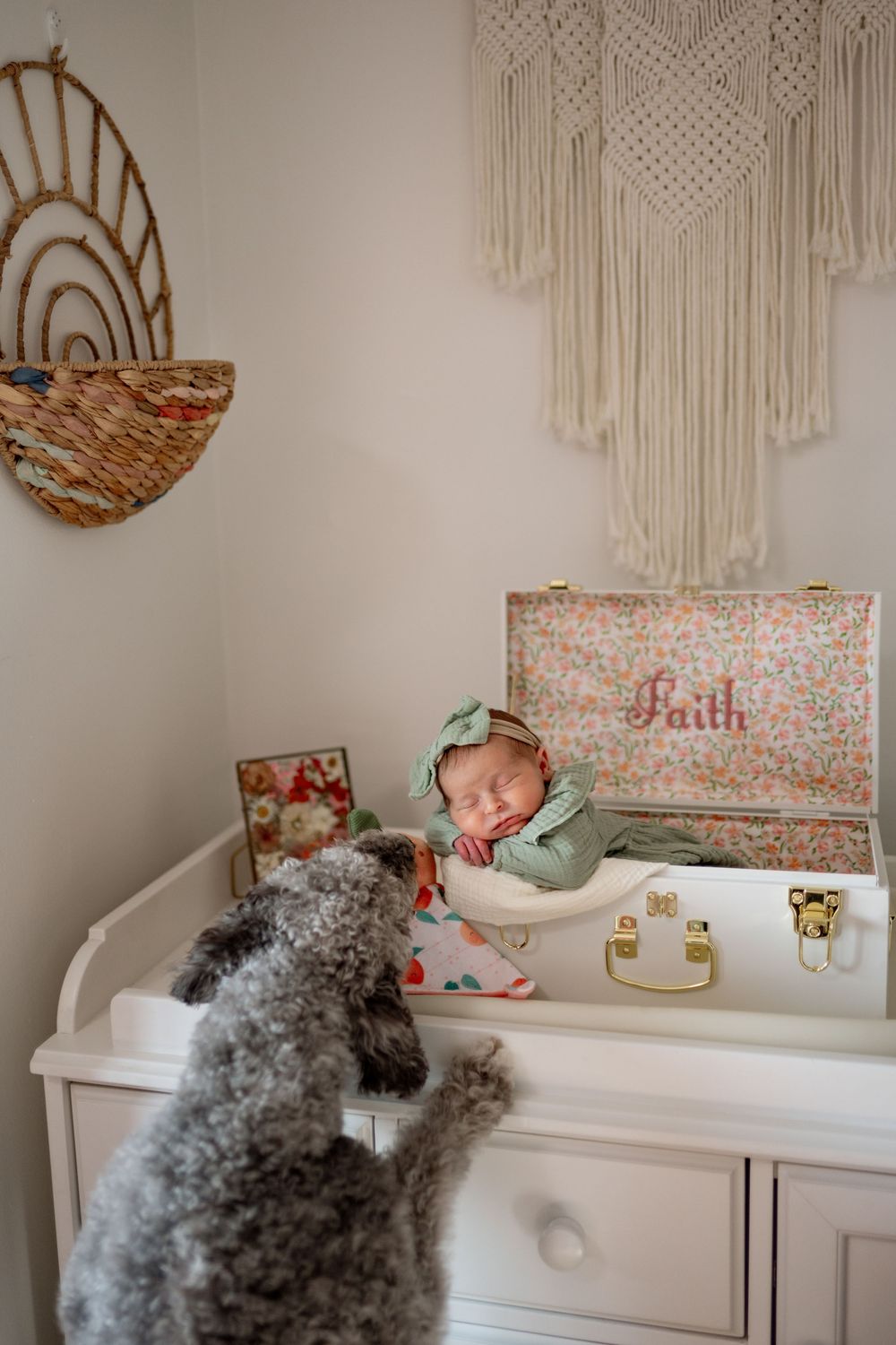 A series of images showing a dog watching over a baby on a changing table with macrame wall hangings in the background.