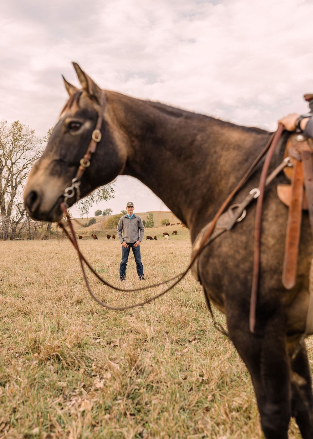 Saddled buckskin horse in the foreground with a man in a gray sweatshirt standing in a grassy pasture with cattle behind him.