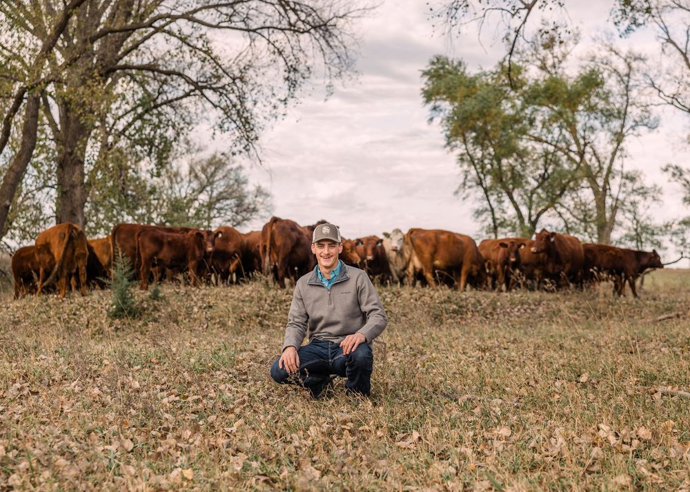 Young man in a ball cap crouches in a dry grass pasture in front of a herd of red cattle and tall autumn trees.