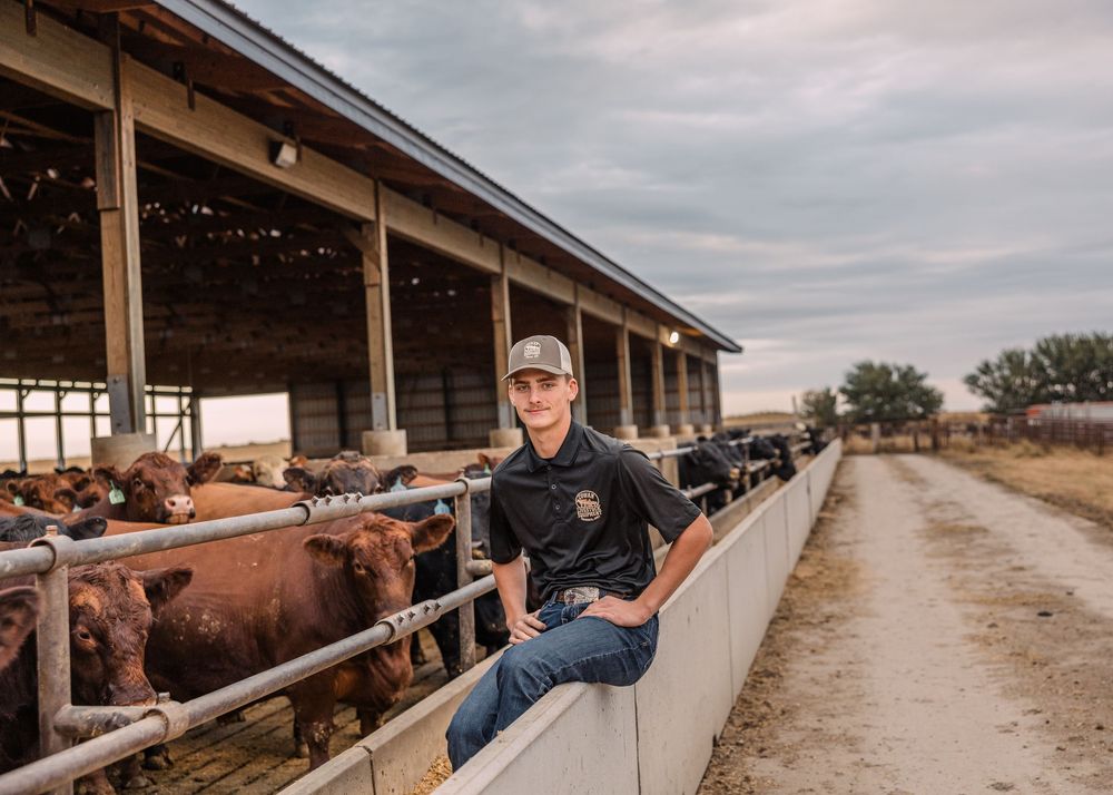 Smiling young man in a cap sits on a concrete feed bunk beside cattle in an open-sided feedlot barn at dusk.