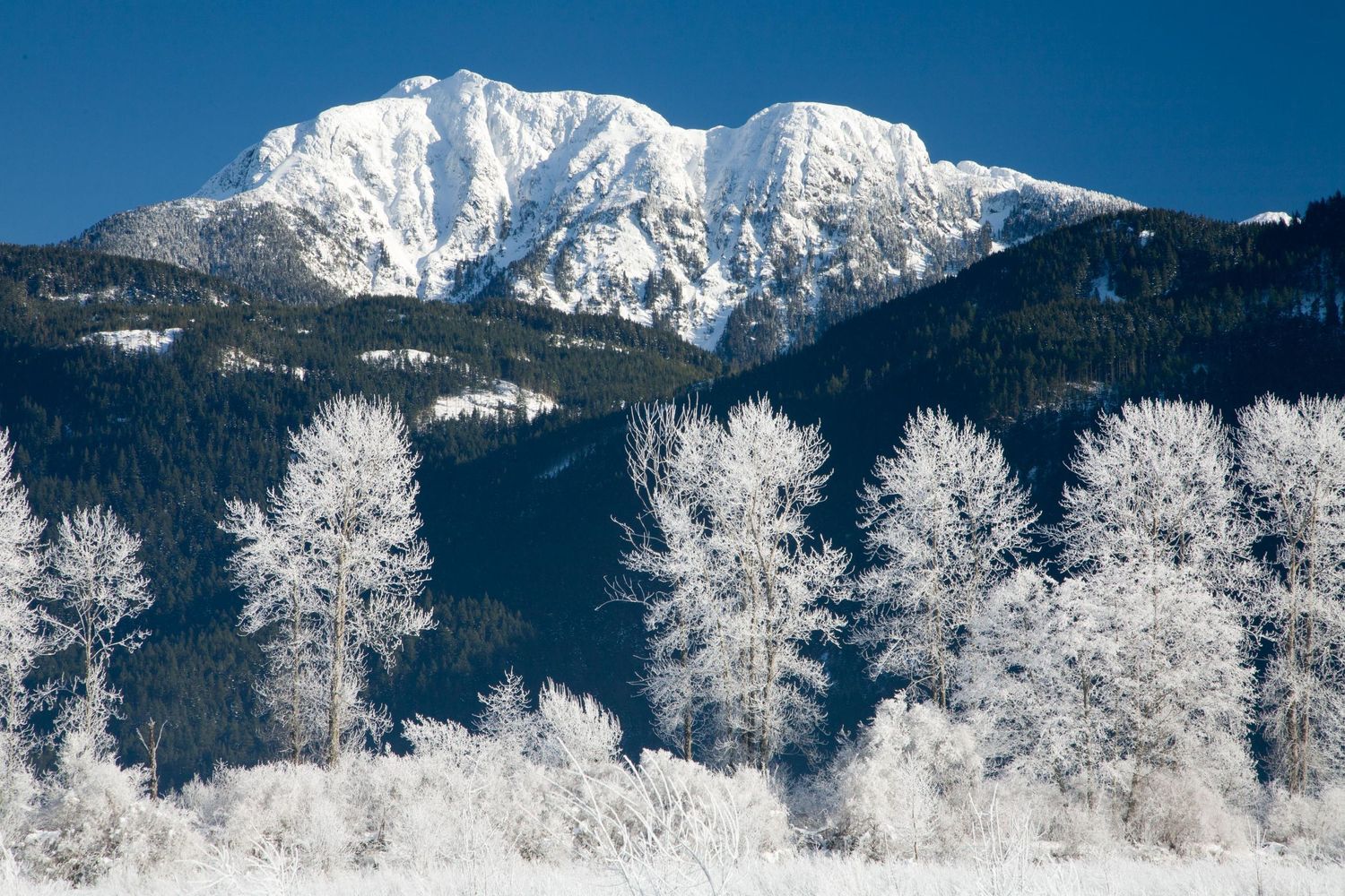 Pitt Lake, Pitt Meadows, Maple Ridge Golden Ears Mountains, Mount Blanshard, British Columbia