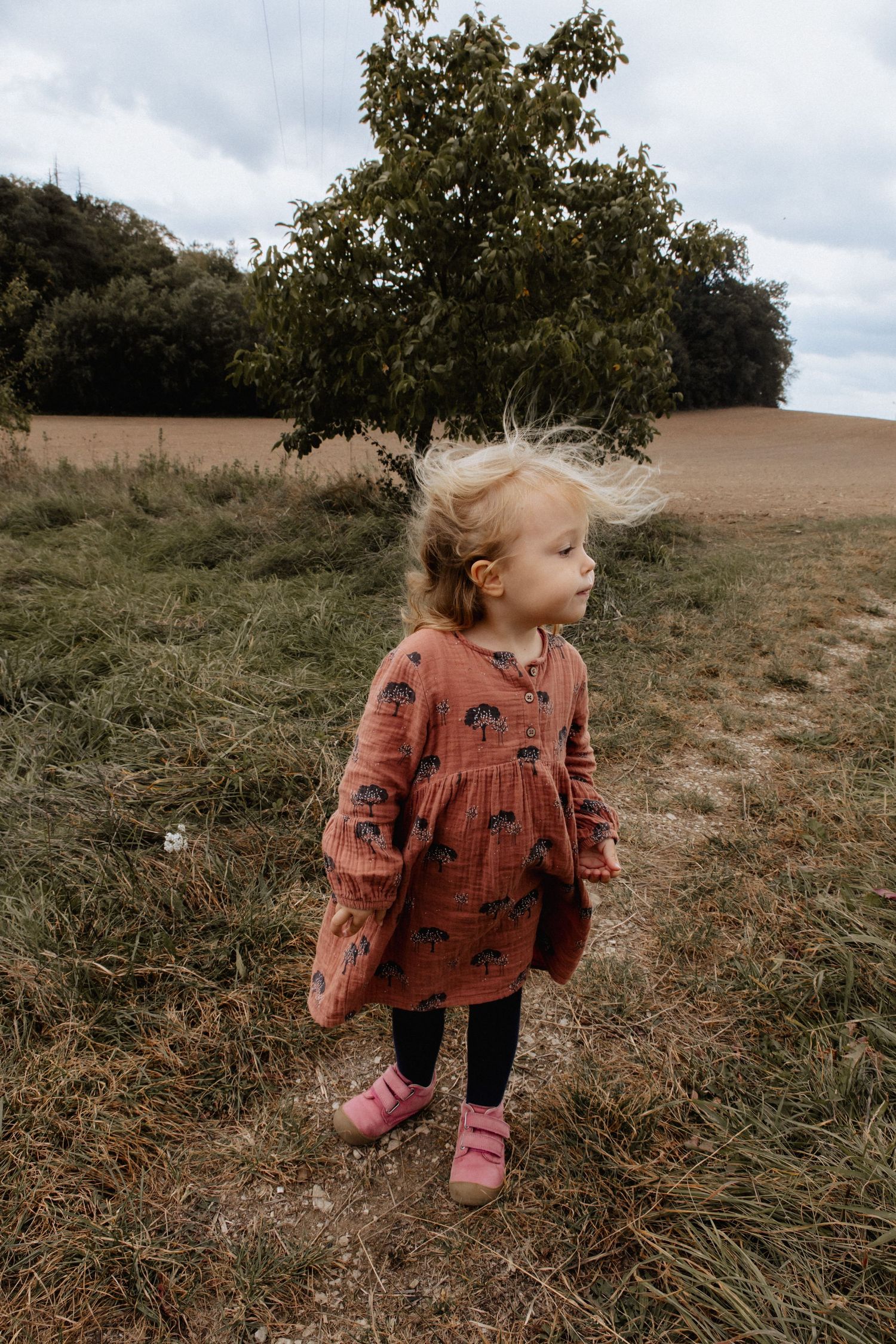 A young child wearing a rust-colored dress stands in a grassy field with a large tree and cloudy sky in the background.
