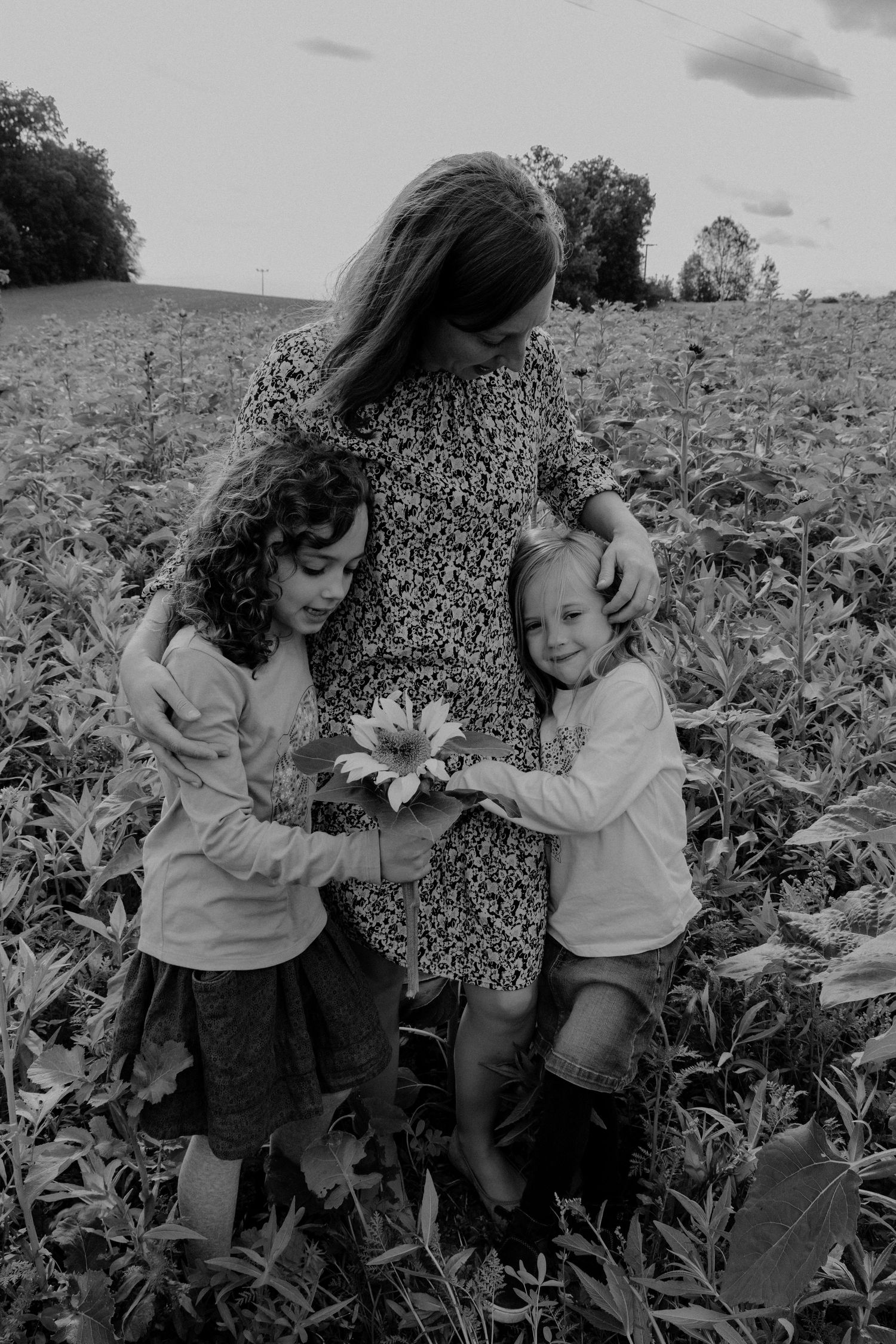 Black and white portrait of three people looking at sunflowers in a vast field on a cloudy day.