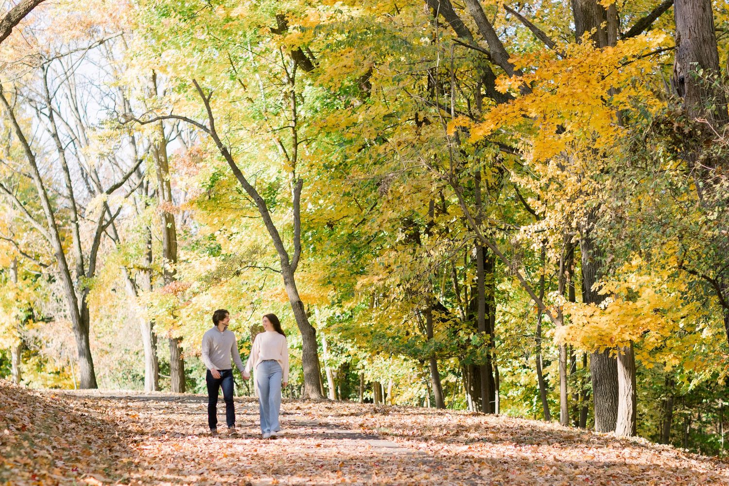 A tree-lined autumn path with golden leaves and people walking in the distance.