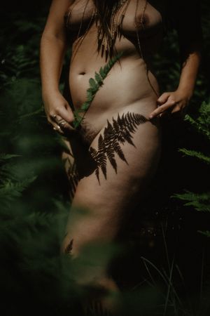 Intimate nature photography incorporating fern leaves and forest shadows.