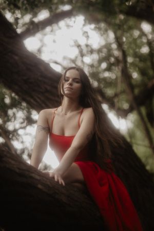 Person in red dress reclines on tree branch in dreamy outdoor setting.