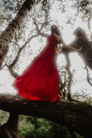 A flowing red dress catches the wind as a figure stands gracefully on a fallen tree trunk in a misty forest setting.