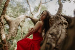 A dreamy forest portrait featuring a red dress against rustic tree bark and dappled sunlight.