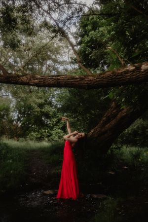 A figure in a dramatic red gown reaches up to touch a large fallen tree branch in a verdant forest.