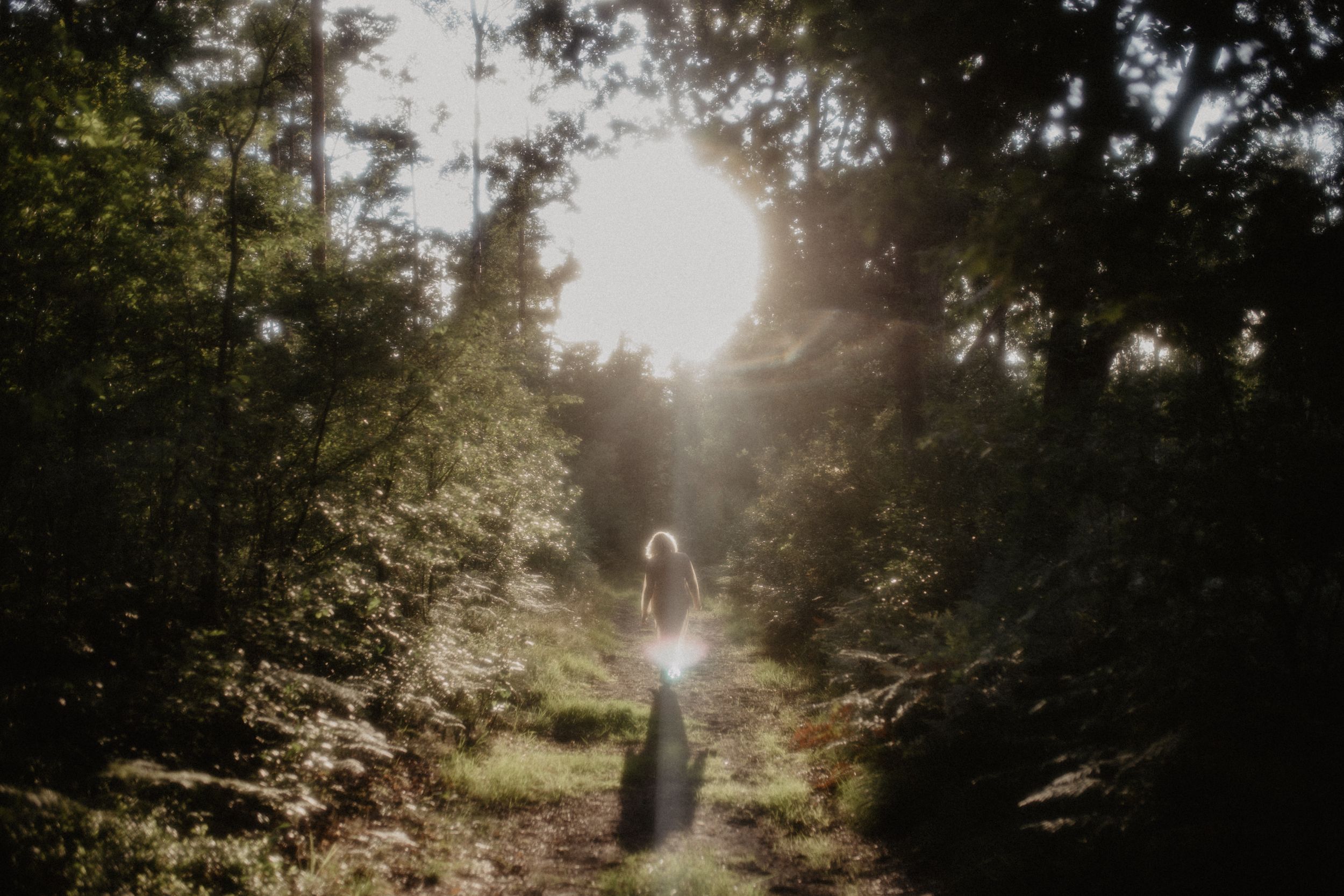 A sunlit forest path with rays of light streaming through trees creating a dreamy, ethereal atmosphere.