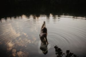 Artistic shot of swimmer creating ripples in calm lake water at sunset.