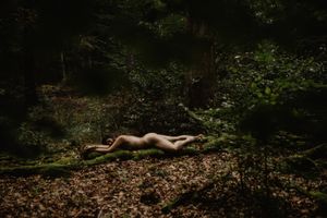 Artistic nude figure lying on forest floor covered in autumn leaves in moody lighting.