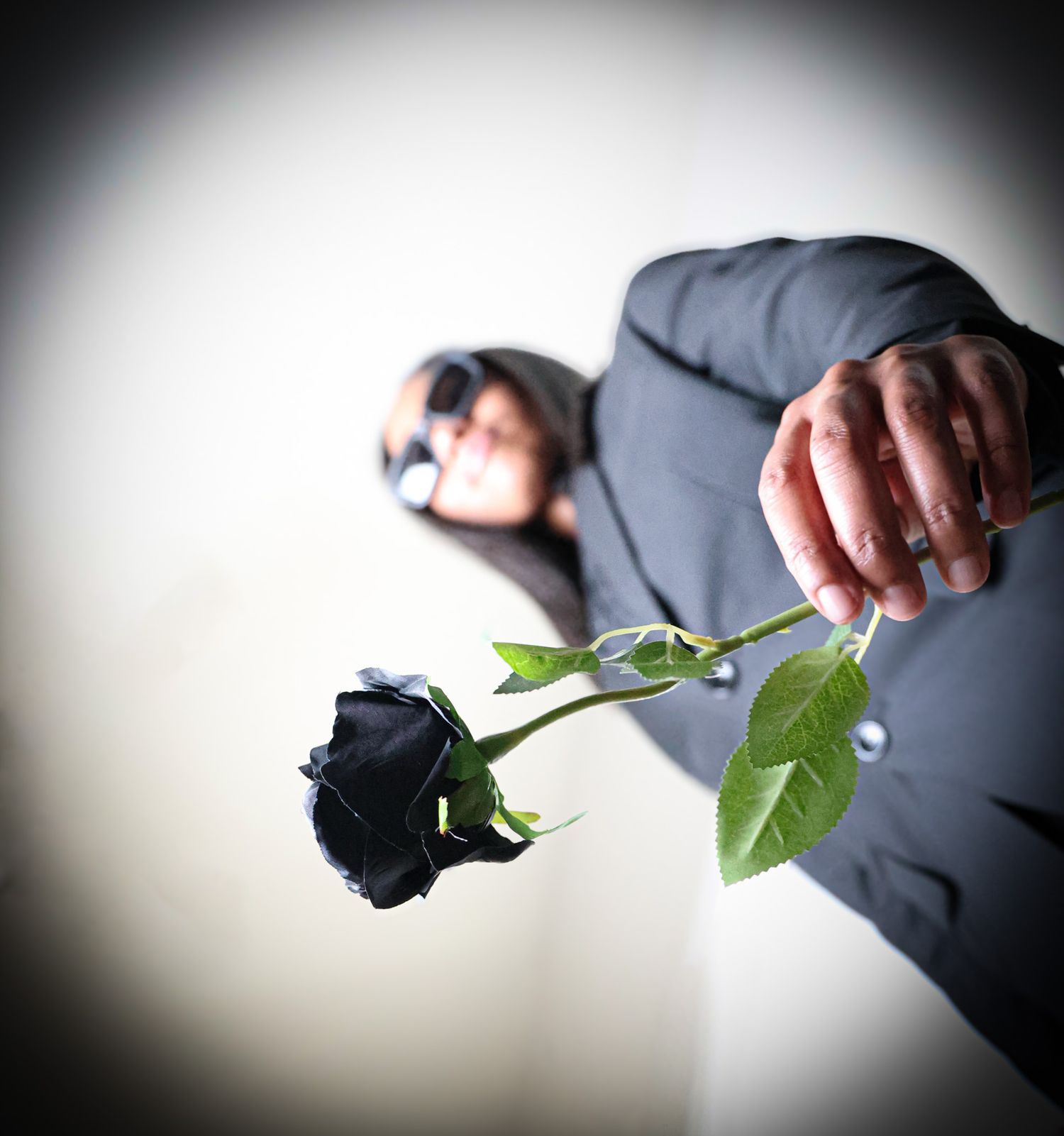 Artistic black and white photo series showing hands holding a dark rose against white background.
